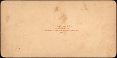 [Group of 100 Stereograph Views of California Nature and Landscapes With a Focus on Yosemite], Keystone View Company, Albumen silver prints