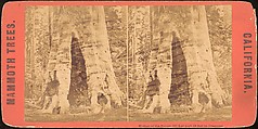 [Group of 100 Stereograph Views of California Nature and Landscapes With a Focus on Yosemite], Keystone View Company, Albumen silver prints