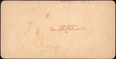 [Group of 100 Stereograph Views of California Nature and Landscapes With a Focus on Yosemite], Keystone View Company, Albumen silver prints