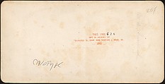 [Group of 17 Early Calotype Stereograph Views], Unknown, Albumen silver prints