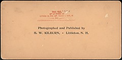 [Group of 66 Stereograph Views of the 1893 Chicago World's Fair and Columbian Exposition], Strohmeyer &amp; Wyman (American), Albumen silver prints