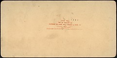 [Group of 66 Stereograph Views of the 1893 Chicago World's Fair and Columbian Exposition], Strohmeyer &amp; Wyman (American), Albumen silver prints