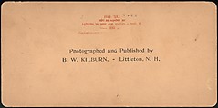 [Group of 66 Stereograph Views of the 1893 Chicago World's Fair and Columbian Exposition], Strohmeyer &amp; Wyman (American), Albumen silver prints