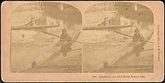[Group of 66 Stereograph Views of the 1893 Chicago World's Fair and Columbian Exposition], Strohmeyer &amp; Wyman (American), Albumen silver prints