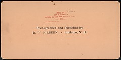 [Group of 66 Stereograph Views of the 1893 Chicago World's Fair and Columbian Exposition], Strohmeyer &amp; Wyman (American), Albumen silver prints