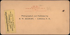 [Group of 66 Stereograph Views of the 1893 Chicago World's Fair and Columbian Exposition], Strohmeyer &amp; Wyman (American), Albumen silver prints