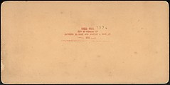 [Group of 66 Stereograph Views of the 1893 Chicago World's Fair and Columbian Exposition], Strohmeyer &amp; Wyman (American), Albumen silver prints