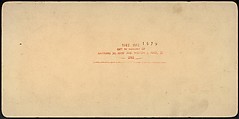 [Group of 66 Stereograph Views of the 1893 Chicago World's Fair and Columbian Exposition], Strohmeyer &amp; Wyman (American), Albumen silver prints