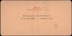 [Group of 66 Stereograph Views of the 1893 Chicago World's Fair and Columbian Exposition], Strohmeyer &amp; Wyman (American), Albumen silver prints