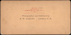 [Group of 66 Stereograph Views of the 1893 Chicago World's Fair and Columbian Exposition], Strohmeyer &amp; Wyman (American), Albumen silver prints