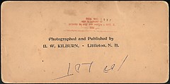 [Group of 66 Stereograph Views of the 1893 Chicago World's Fair and Columbian Exposition], Strohmeyer &amp; Wyman (American), Albumen silver prints