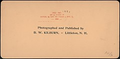 [Group of 66 Stereograph Views of the 1893 Chicago World's Fair and Columbian Exposition], Strohmeyer &amp; Wyman (American), Albumen silver prints