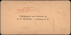 [Group of 66 Stereograph Views of the 1893 Chicago World's Fair and Columbian Exposition], Strohmeyer &amp; Wyman (American), Albumen silver prints