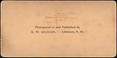 [Group of 66 Stereograph Views of the 1893 Chicago World's Fair and Columbian Exposition], Strohmeyer &amp; Wyman (American), Albumen silver prints