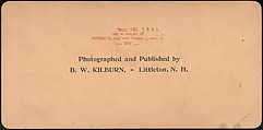 [Group of 66 Stereograph Views of the 1893 Chicago World's Fair and Columbian Exposition], Strohmeyer &amp; Wyman (American), Albumen silver prints