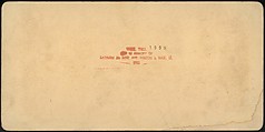 [Group of 66 Stereograph Views of the 1893 Chicago World's Fair and Columbian Exposition], Strohmeyer &amp; Wyman (American), Albumen silver prints