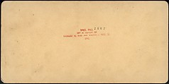 [Group of 66 Stereograph Views of the 1893 Chicago World's Fair and Columbian Exposition], Strohmeyer &amp; Wyman (American), Albumen silver prints