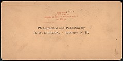 [Group of 66 Stereograph Views of the 1893 Chicago World's Fair and Columbian Exposition], Strohmeyer &amp; Wyman (American), Albumen silver prints