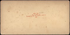 [Group of 66 Stereograph Views of the 1893 Chicago World's Fair and Columbian Exposition], Strohmeyer &amp; Wyman (American), Albumen silver prints