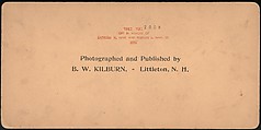 [Group of 66 Stereograph Views of the 1893 Chicago World's Fair and Columbian Exposition], Strohmeyer &amp; Wyman (American), Albumen silver prints