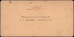 [Group of 66 Stereograph Views of the 1893 Chicago World's Fair and Columbian Exposition], Strohmeyer &amp; Wyman (American), Albumen silver prints