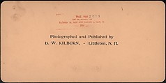 [Group of 66 Stereograph Views of the 1893 Chicago World's Fair and Columbian Exposition], Strohmeyer &amp; Wyman (American), Albumen silver prints
