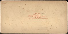 [Group of 66 Stereograph Views of the 1893 Chicago World's Fair and Columbian Exposition], Strohmeyer &amp; Wyman (American), Albumen silver prints