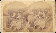 [Group of 18 Stereograph Views of the 1884/1885 New Orleans Centennial International Exhibition], Centennial Photographic Company (American, founded 1876), Albumen silver prints