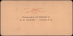 [Group of 3 Stereograph Views of the 1901 Pan American Exposition, Buffalo, New York], James M. Davis, Albumen silver prints