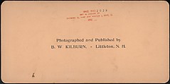 [Group of 3 Stereograph Views of the 1901 Pan American Exposition, Buffalo, New York], James M. Davis, Albumen silver prints