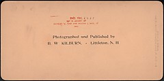 [Group of 3 Stereograph Views of the 1901 Pan American Exposition, Buffalo, New York], James M. Davis, Albumen silver prints