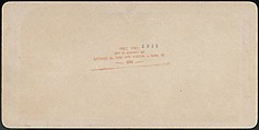 C. H. Graves | [Group of 47 Stereograph Views of the 1904 St. Louis ...