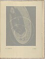 Électricité, Man Ray (American, Philadelphia, Pennsylvania 1890–1976 Paris), Photogravures
