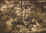 [Oak Tree and Rocks, Forest of Fontainebleau], Gustave Le Gray  French, Salted paper print from paper negative