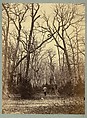 [Man in a Forest Landscape], Constant Alexandre Famin  French, Albumen silver print from glass negative