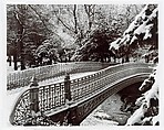Pine Bank Arch, Central Park, John M. Hall American, Gelatin silver print