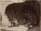 American Creeper, Blake House, Alfred Capel Cure British, Albumen silver print from paper negative