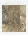 Ichnographs from the Sandstone of Connecticut River, James Deane American, Salted paper prints