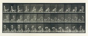 Animal Locomotion.  An Electro-Photographic Investigation of Consecutive Phases of Animal Movements.  Commenced 1872 - Completed 1885.  Volume IV, Women (Nude), Eadweard Muybridge  British and American, Photogravures