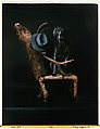Elks Club, William Wegman  American, Instant dye diffusion transfer print (Polaroid)