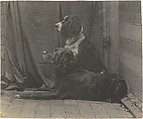[Thomas Eakins's Dog Harry and Another Setter], Thomas Eakins  American, Platinum print