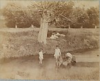 [Three Children and a Dog Playing in the Creek, July 4, 1883], Thomas Eakins  American, Albumen silver print