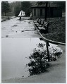 Central Park Boat Basin, New York, André Kertész American, born Hungary, Gelatin silver print