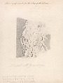 A Drawing of a Part for the Map of the Moon, John Russell British, Graphite on paper