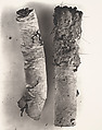 Cigarette No. 17, New York, Irving Penn  American, Platinum-palladium print
