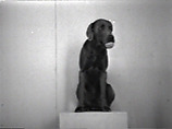Outtakes from Reels 2 and 3, William Wegman (American, born 1943), Single-channel digital video, transferred from Sony AV 3600 1/2-inch video tape, black-and-white, sound, 21 min., 27 sec.