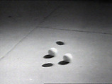 Shadows, William Wegman  American, Single-channel digital video, transferred from Sony CV 1/2-inch video tape, black-and-white, sound, 19 sec.