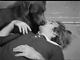 The Kiss, William Wegman American, Single-channel digital video, transferred from Sony AV 3600 1/2-inch video tape, black-and-white, sound, 1 min., 27 sec.
