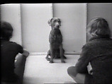 Calling Man Ray, William Wegman American, Single-channel digital video, transferred from Sony AV 3600 1/2-inch video tape, black-and-white, sound, 44 sec.