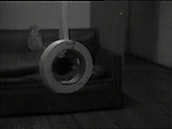 Dancing Tape, William Wegman  American, Single-channel digital video, transferred from Panasonic 1/2-inch video tape, black-and-white, sound, 5 min., 29 sec.